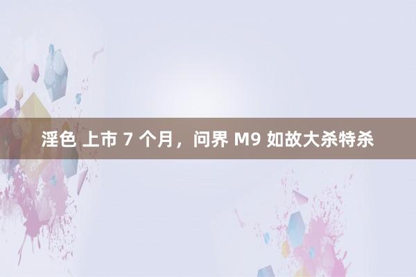 淫色 上市 7 个月，问界 M9 如故大杀特杀