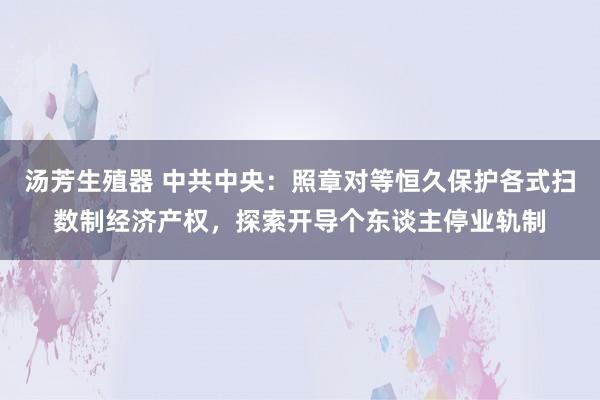 汤芳生殖器 中共中央：照章对等恒久保护各式扫数制经济产权，探索开导个东谈主停业轨制