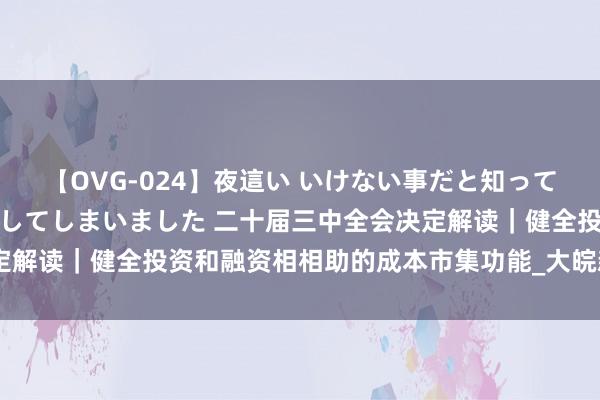 【OVG-024】夜這い いけない事だと知っていたけど生中出しまで許してしまいました 二十届三中全会决定解读｜健全投资和融资相相助的成本市集功能_大皖新闻 | 安徽网