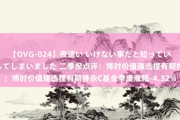 【OVG-024】夜這い いけない事だと知っていたけど生中出しまで許してしまいました 二季报点评：博时价值臻选捏有期搀杂C基金季度涨幅-4.32%