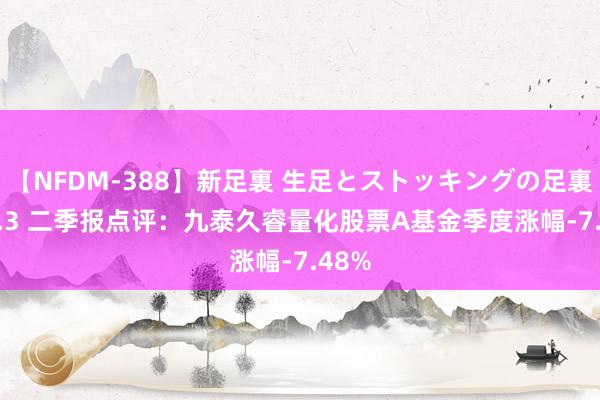 【NFDM-388】新足裏 生足とストッキングの足裏 Vol.3 二季报点评：九泰久睿量化股票A基金季度涨幅-7.48%