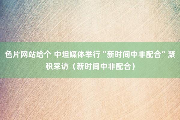 色片网站给个 中坦媒体举行“新时间中非配合”聚积采访（新时间中非配合）