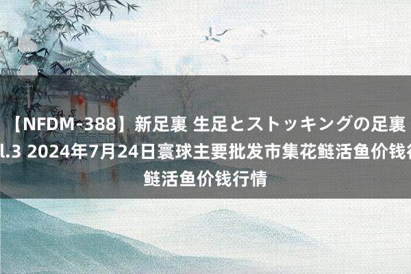 【NFDM-388】新足裏 生足とストッキングの足裏 Vol.3 2024年7月24日寰球主要批发市集花鲢活鱼价钱行情