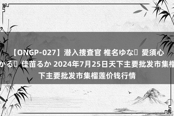 【ONGP-027】潜入捜査官 椎名ゆな・愛須心亜・紺野ひかる・佳苗るか 2024年7月25日天下主要批发市集榴莲价钱行情