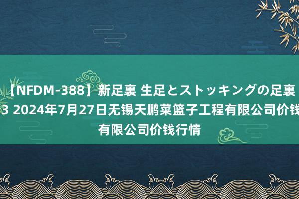 【NFDM-388】新足裏 生足とストッキングの足裏 Vol.3 2024年7月27日无锡天鹏菜篮子工程有限公司价钱行情