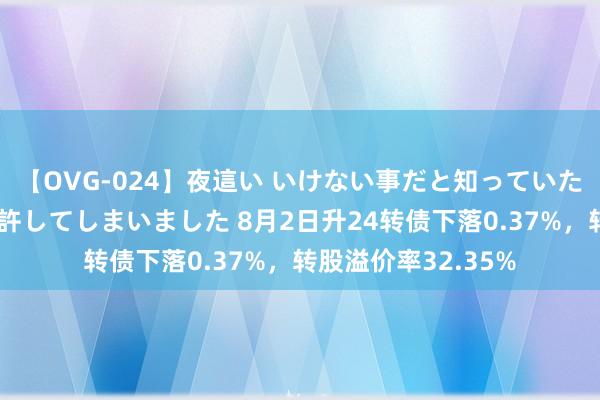 【OVG-024】夜這い いけない事だと知っていたけど生中出しまで許してしまいました 8月2日升24转债下落0.37%，转股溢价率32.35%