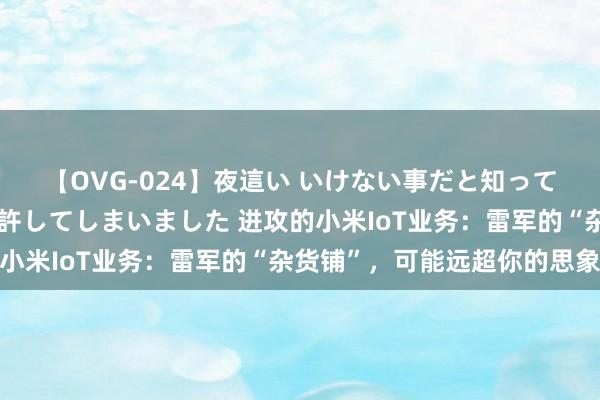 【OVG-024】夜這い いけない事だと知っていたけど生中出しまで許してしまいました 进攻的小米IoT业务：雷军的“杂货铺”，可能远超你的思象