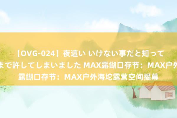 【OVG-024】夜這い いけない事だと知っていたけど生中出しまで許してしまいました MAX露餬口存节：MAX户外海坨露营空间揭幕