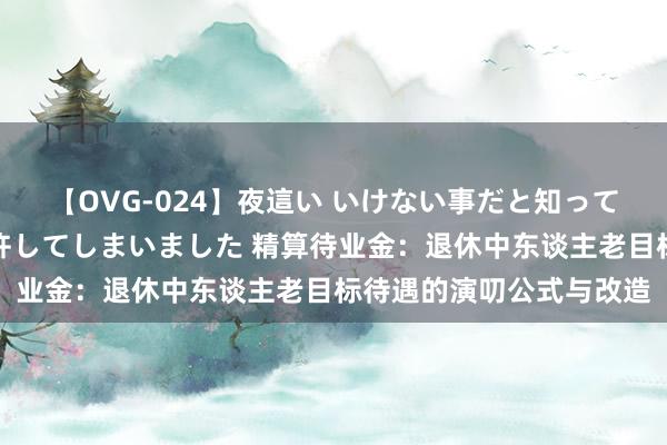 【OVG-024】夜這い いけない事だと知っていたけど生中出しまで許してしまいました 精算待业金：退休中东谈主老目标待遇的演叨公式与改造