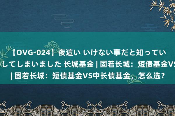 【OVG-024】夜這い いけない事だと知っていたけど生中出しまで許してしまいました 长城基金 | 固若长城：短债基金VS中长债基金，怎么选？