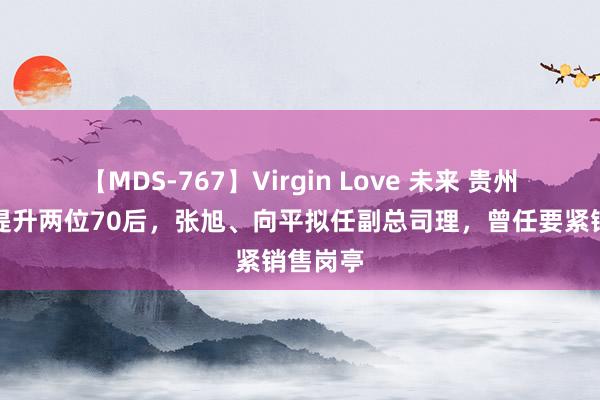 【MDS-767】Virgin Love 未来 贵州茅台要提升两位70后，张旭、向平拟任副总司理，曾任要紧销售岗亭