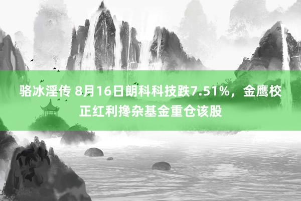 骆冰淫传 8月16日朗科科技跌7.51%，金鹰校正红利搀杂基金重仓该股