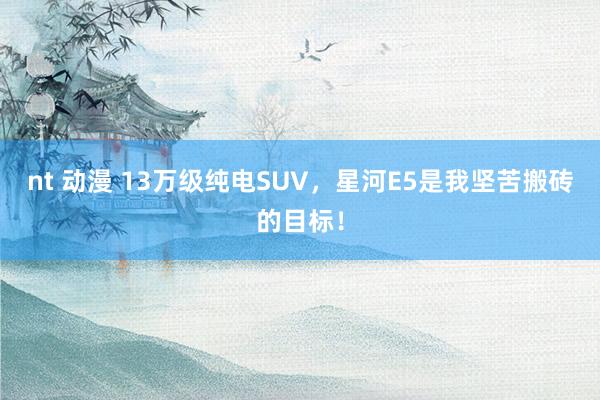 nt 动漫 13万级纯电SUV，星河E5是我坚苦搬砖的目标！