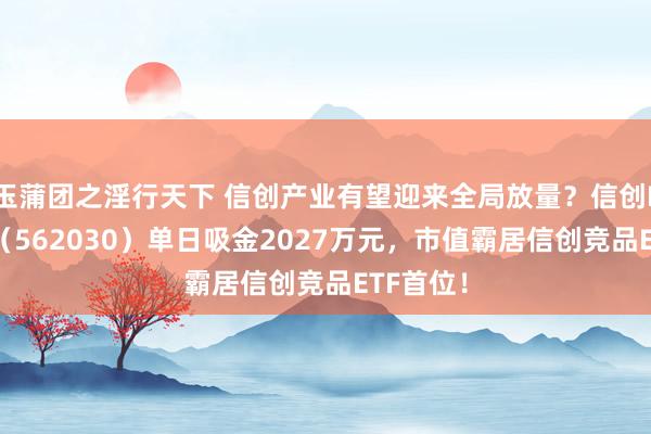 玉蒲团之淫行天下 信创产业有望迎来全局放量？信创ETF基金（562030）单日吸金2027万元，市值霸居信创竞品ETF首位！