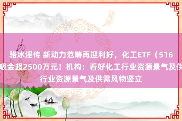 骆冰淫传 新动力范畴再迎利好，化工ETF（516020）20日吸金超2500万元！机构：看好化工行业资源景气及供需风物竖立