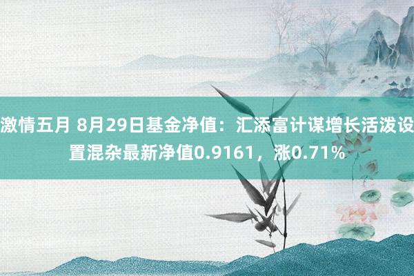 激情五月 8月29日基金净值：汇添富计谋增长活泼设置混杂最新净值0.9161，涨0.71%