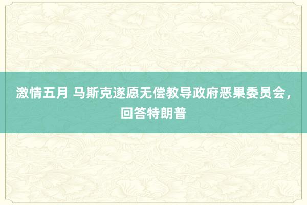 激情五月 马斯克遂愿无偿教导政府恶果委员会，回答特朗普