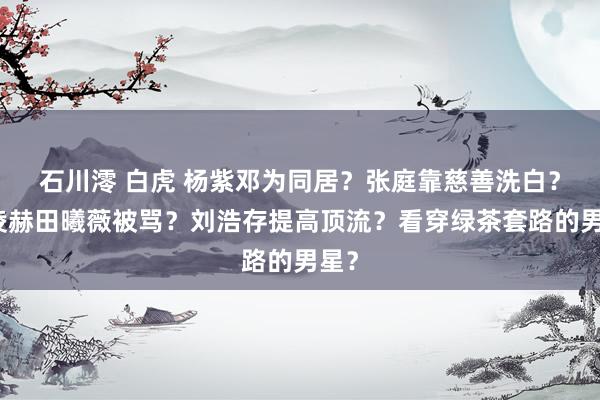 石川澪 白虎 杨紫邓为同居？张庭靠慈善洗白？张凌赫田曦薇被骂？刘浩存提高顶流？看穿绿茶套路的男星？