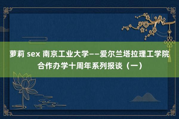 萝莉 sex 南京工业大学——爱尔兰塔拉理工学院合作办学十周年系列报谈（一）