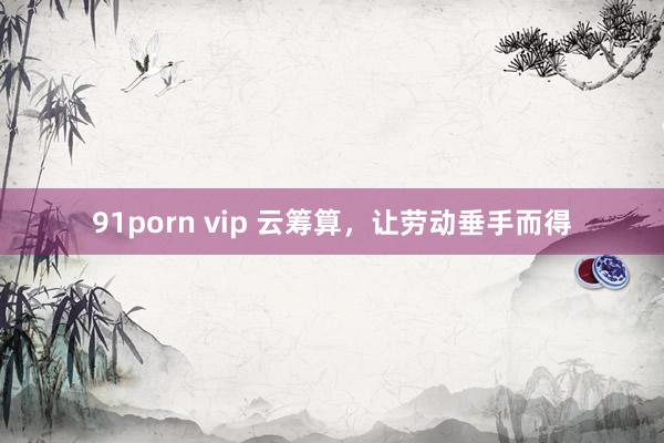 91porn vip 云筹算，让劳动垂手而得