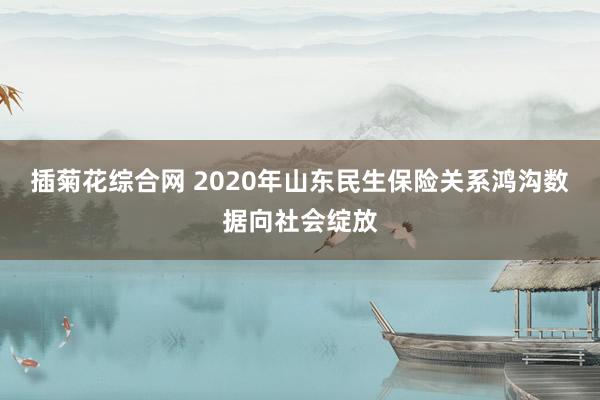 插菊花综合网 2020年山东民生保险关系鸿沟数据向社会绽放