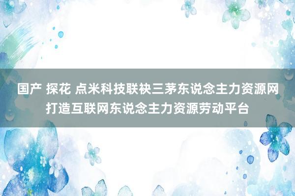 国产 探花 点米科技联袂三茅东说念主力资源网打造互联网东说念主力资源劳动平台