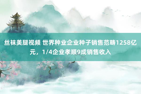 丝袜美腿视频 世界种业企业种子销售范畴1258亿元，1/4企业孝顺9成销售收入